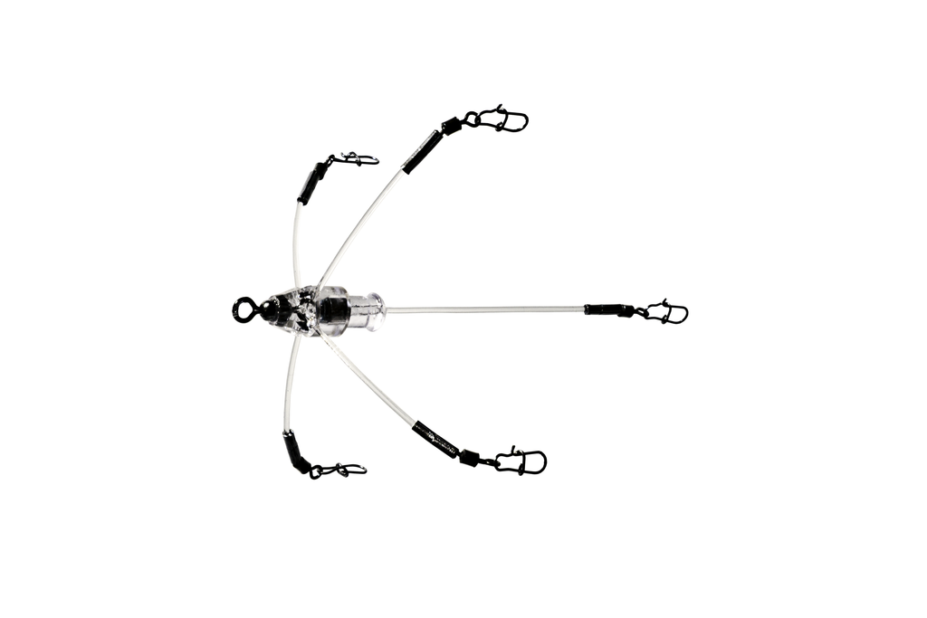 CUR EVOLUTION BF